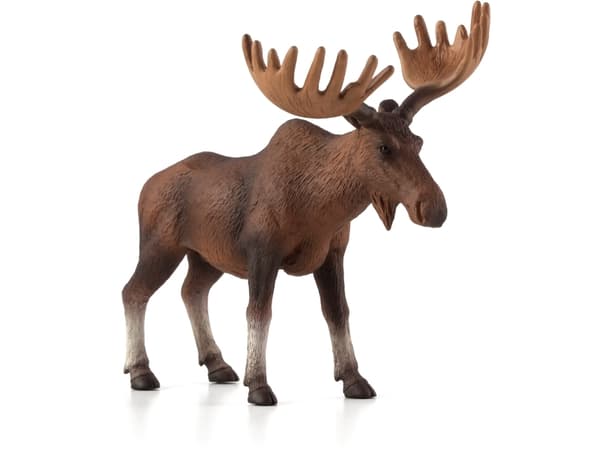 Mojo Europeisk älg