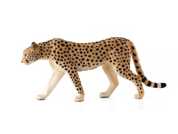 Mojo Gepard han