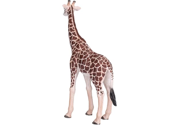 Mojo Giraff hane