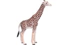 Miniatyrbild 1 av 2: Mojo Giraff hane