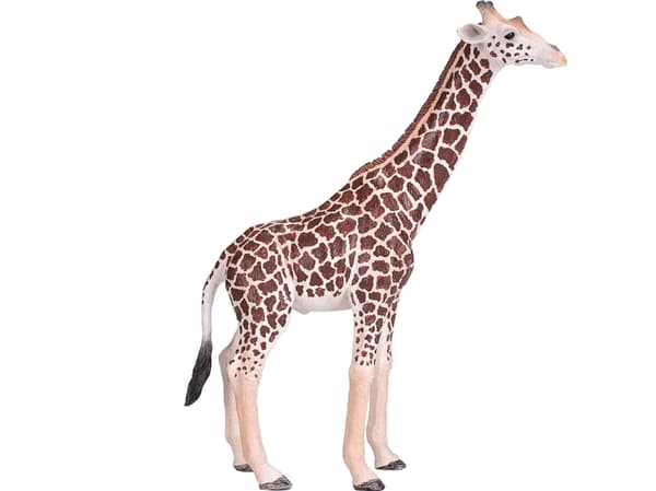 Mojo Giraff hane