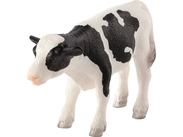Mojo Holstein Kalv, stående