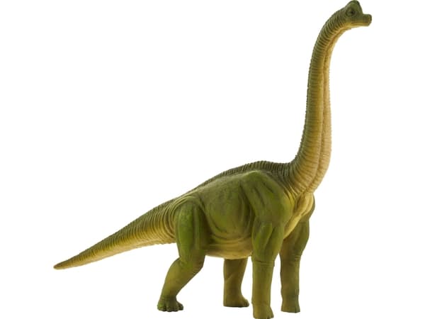 Mojo Brachiosaurus