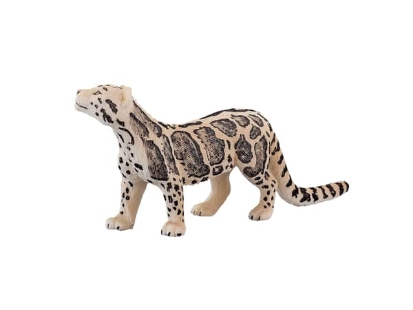 Mojo Clouded Leopard