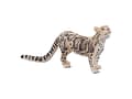 Miniatyrbilde 5 av 5: Mojo Clouded Leopard