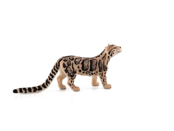 Mojo Clouded Leopard
