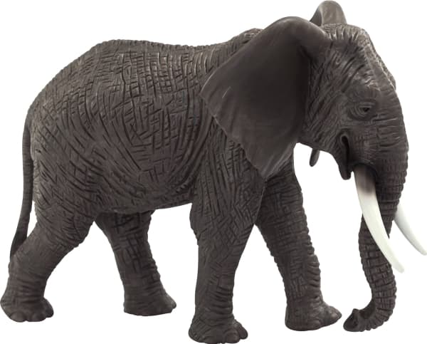 Mojo Afrikansk elefant
