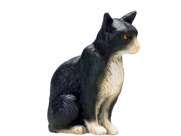 Mojo Kat, Siddende/Broget