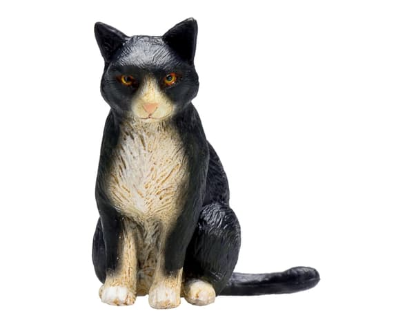 Mojo Kat, Siddende/Broget
