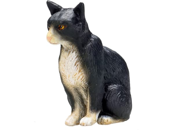 Mojo Kat, Siddende/Broget