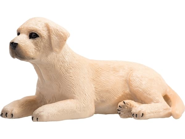 Mojo Labrador valp