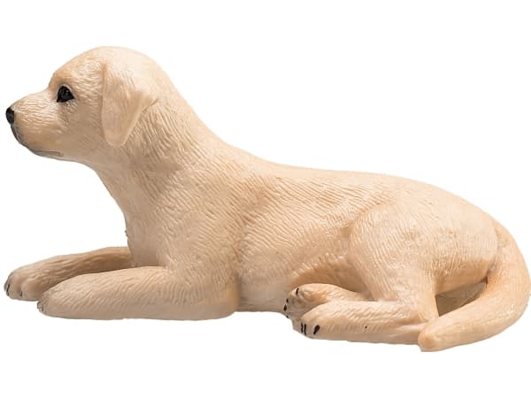 Mojo Labrador valp