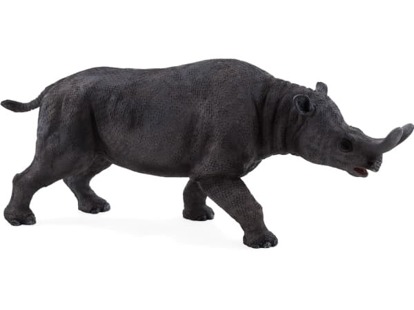 Mojo Brontotherium