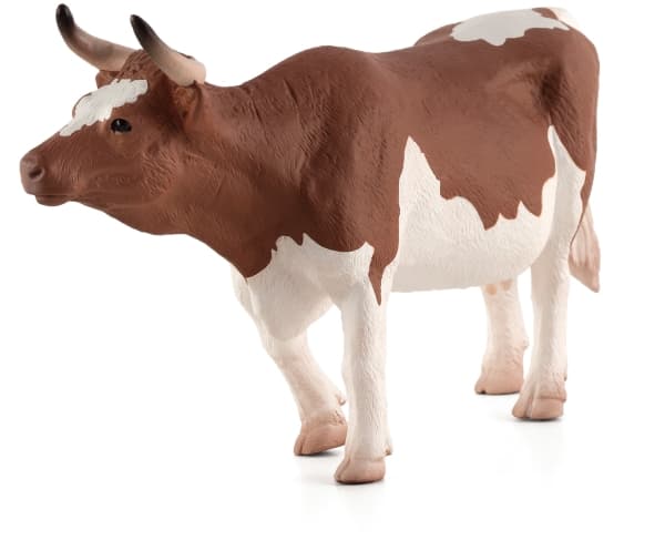 Mojo Simmental Ko