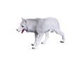 Miniatyrbilde 4 av 5: Mojo Polar ulv