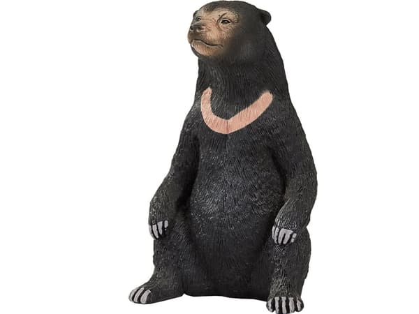 Mojo Sol Bjørn