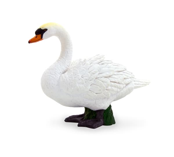 Min knapp Svan