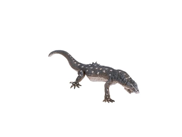 Mojo Perentie firben