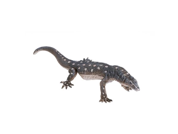 Mojo Perentie firben