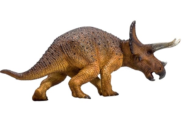 Mojo Triceratops