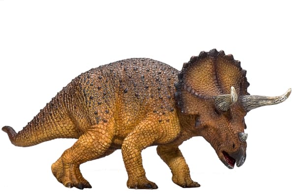 Mojo Triceratops