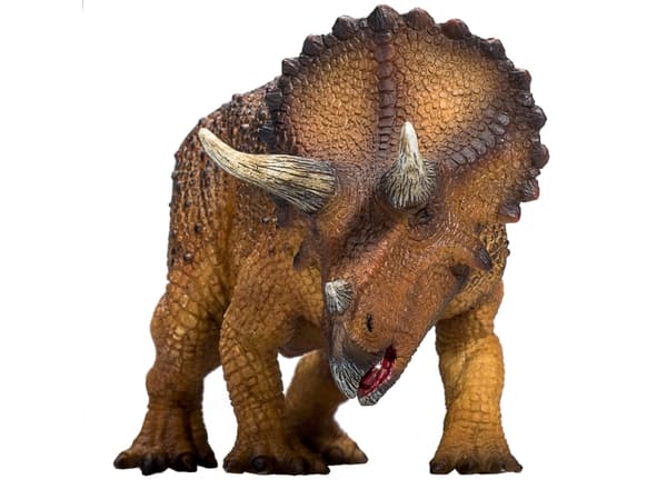 Mojo Triceratops