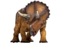 Miniatyrbild 1 av 3: Mojo Triceratops