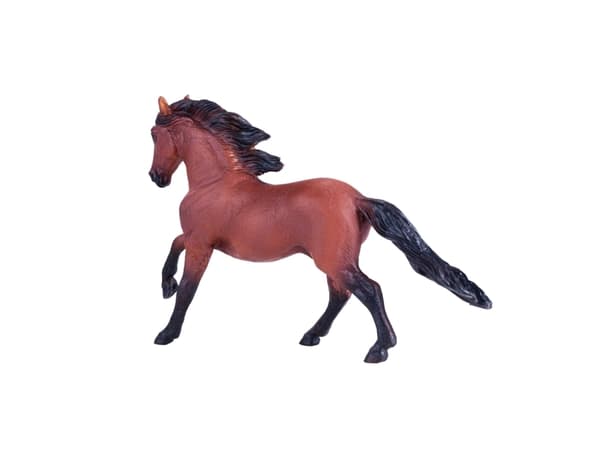Mojo Lisitano Hest