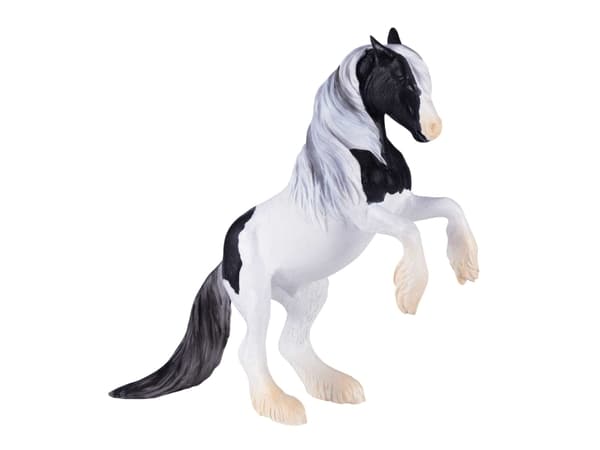 Mojo Gypsy Vanner hingst