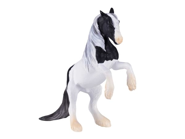 Mojo Gypsy Vanner hingst