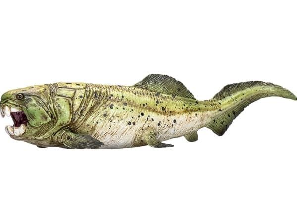 Mojo Dunkleosteus