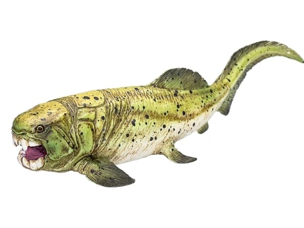 Mojo Dunkleosteus