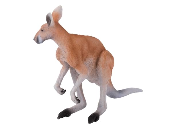 Mojo Kangaroo