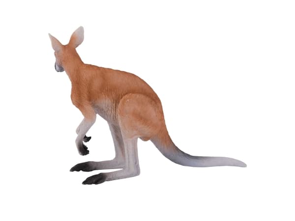 Mojo Kangaroo