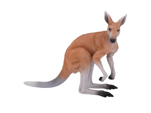 Mojo Kangaroo