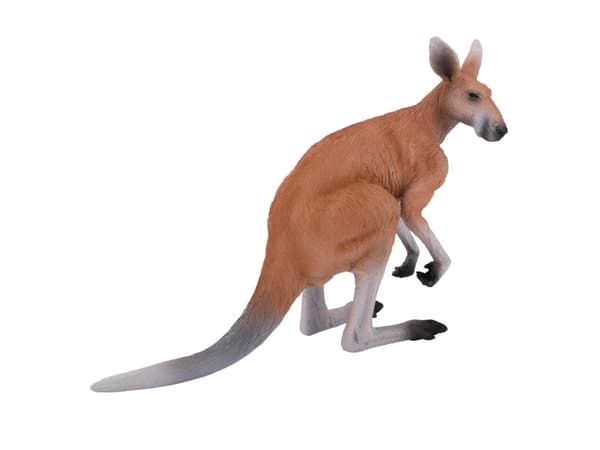 Mojo Kangaroo