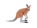 Miniatyrbild 1 av 5: Mojo Kangaroo