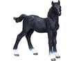 Miniatyrbilde 1 av 2: Mojo hanoverian Føl, Sort