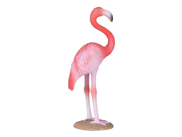 Mojo Amerikansk Flamingo