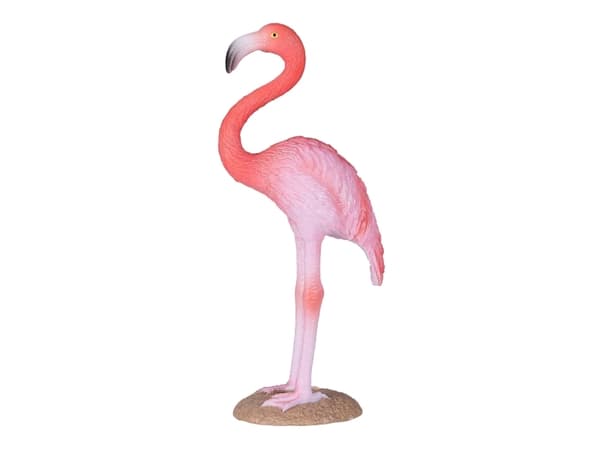 Mojo Amerikansk Flamingo