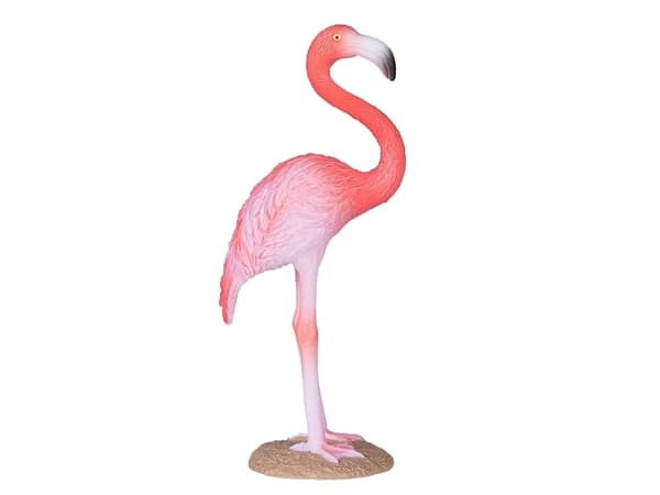 Mojo Amerikansk Flamingo