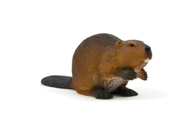 Mojo Bæver