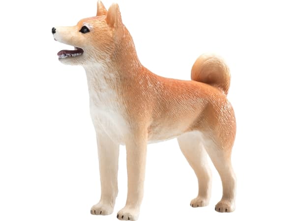 Mojo Shiba hund