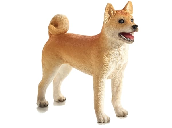 Mojo Shiba hund