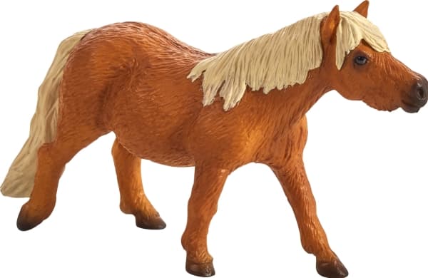Mojo shetlandsponni