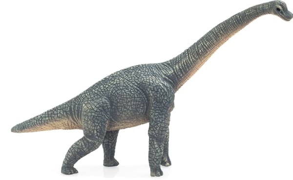 Mojo Brachiosaurus