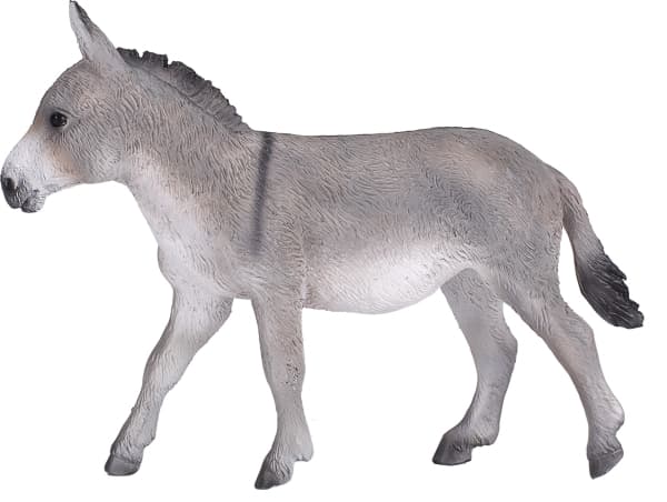 Mojo Æsel