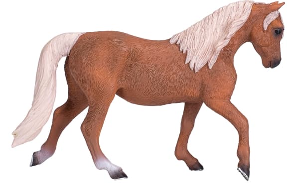 Mojo Palomino Morgan Hingst
