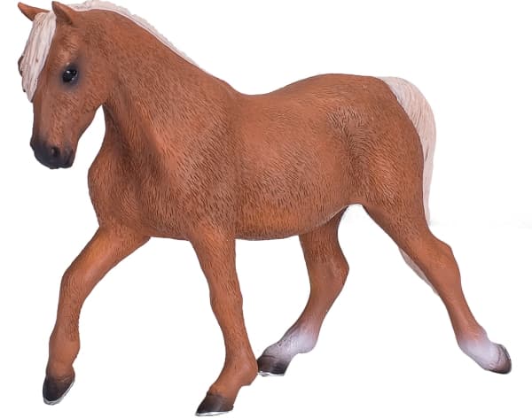 Mojo Palomino Morgan Hingst