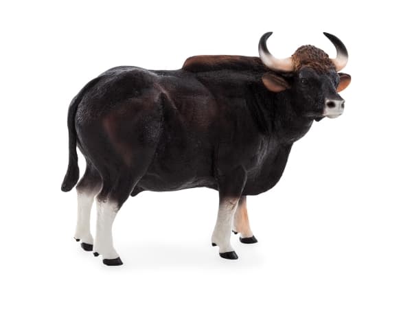 Mojo Gaur Tyr